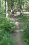 gal/GP_VTT_Hettange_2_juillet_2006/_thb_GP HETTANGE VTT 2006 147.jpg
